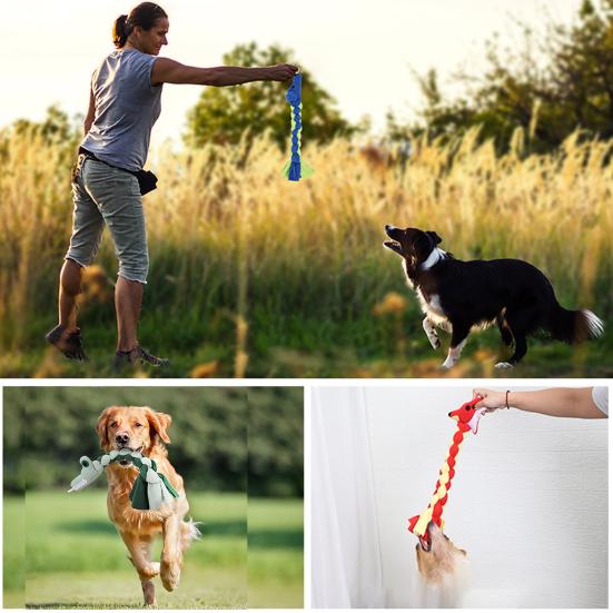 Hračka Lano Odolné proti kousání Uvolnění úzkosti Interaktivní Čištění zubů Psí molární hračka Mazlíček