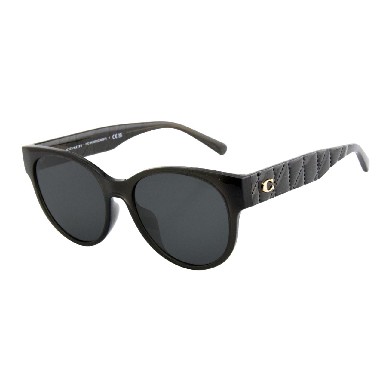 Coach Retro Oversized Fashion Injection Molded Oval Sunglasses Women sunglasses Black 0HC8430D-589787 F,Black