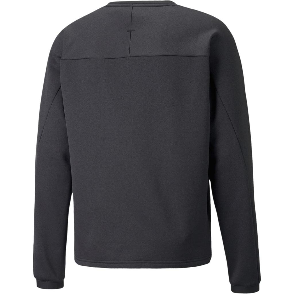 Puma Eco-Friendly Series Brand Logo Sports Hoodie Men hoodies Black 521005-01