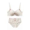 Printed bear French floral lace underwear women's small breasts gather to show large and thin bras new models