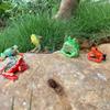 1Pcs Hand Painted Amphibious Animal Figurine Educational Realistic Toad Frog Figure Rubber Animal Model Toy For Kids