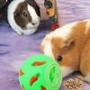 Bite Resistant Rabbit Tumbler Ball PVC Cat Slow Feeder Practical Rabbit Treat Ball Chinchilla