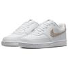 Nike Court Vision Low Next Nature 'United In Victory' Women's Sneakers FN7323-100