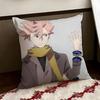 IIDINVADED Anime Cushion Cover Reversible Soft Durable Pillow Cover Home  Car MultiScene Use for Daily Comfort