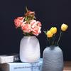 Modern Nordic Ceramic Dried Flower Vase - Minimalist Hydroponic Container for Home Decor