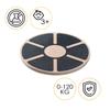 4physio Balancing Disc