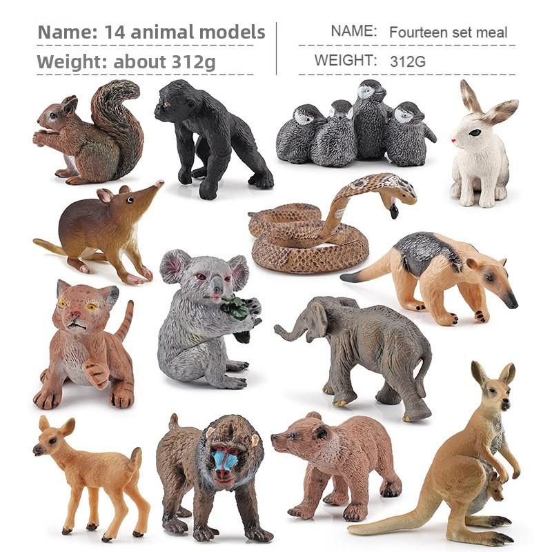 Squirrel Animal Model Set With Pvc Realistic Figures For Educational Play And Collecting Enthusiasts