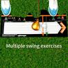 Swing Training Putter Practice Device Hitting Station Mat Golf Training Aid  Entry Level