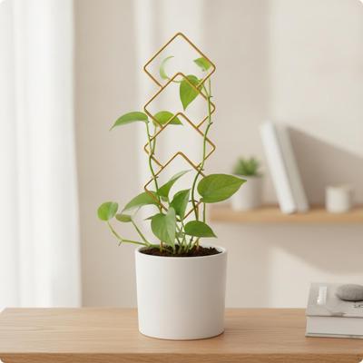 Stainless Steel Metal Plant Stake Lightweight Climbing Support