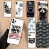 Raccoon Animal Case For Realme C53 C55 C51 C25 C63 C61 C65 C67 C71 C75 GT6 GT7 Pro 11 12 13 14 15 Pro Plus