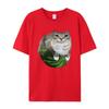 T-shirt Estiva Retro Kawaii con Stampa Divertente di Gatti per Uomo e Donna, T-shirt Traspirante Casual da Surf e Spiaggia