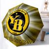BSC Young Boys pattern, automatic folding umbrella, portable and foldable design, 8 ribs, a Christmas or birthday gift.