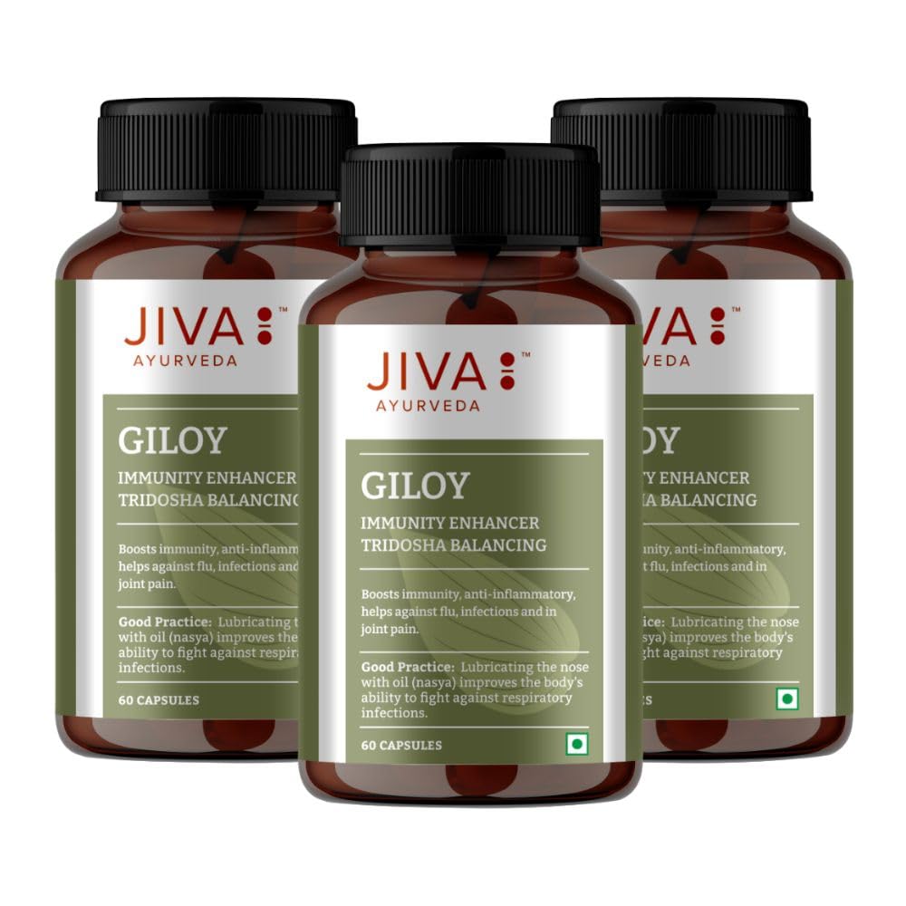 

Jiva Giloy Herbal Capsules 60 Count Pack of 3 | Natural Immunity Booster & Anti-Aging Supplement for Daily Wellness