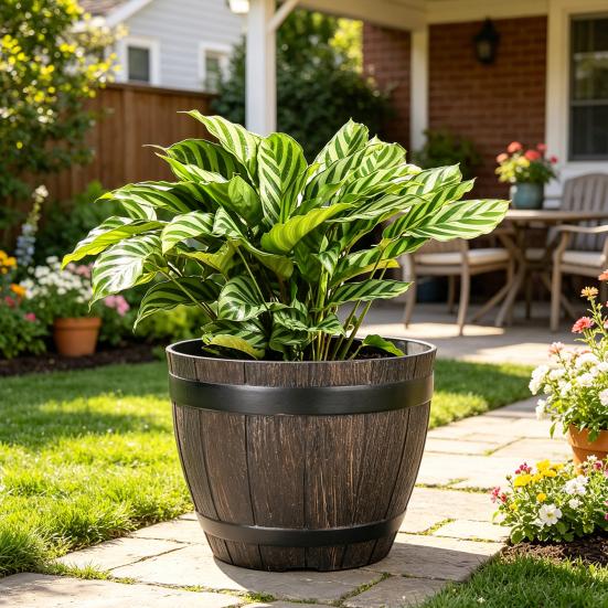 Flowerpot with Built-In Drainage System Rustic Style Garden Container Entryway Decorative Planter Barrel Flowers Herbs Vegetables Small Shrubs Balcony