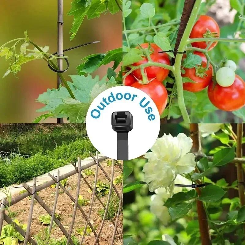 100Pcs plastic clamping collar rilsan Cable ties clamp greenhouse plastic clamps self-tightening plastic necklace belts