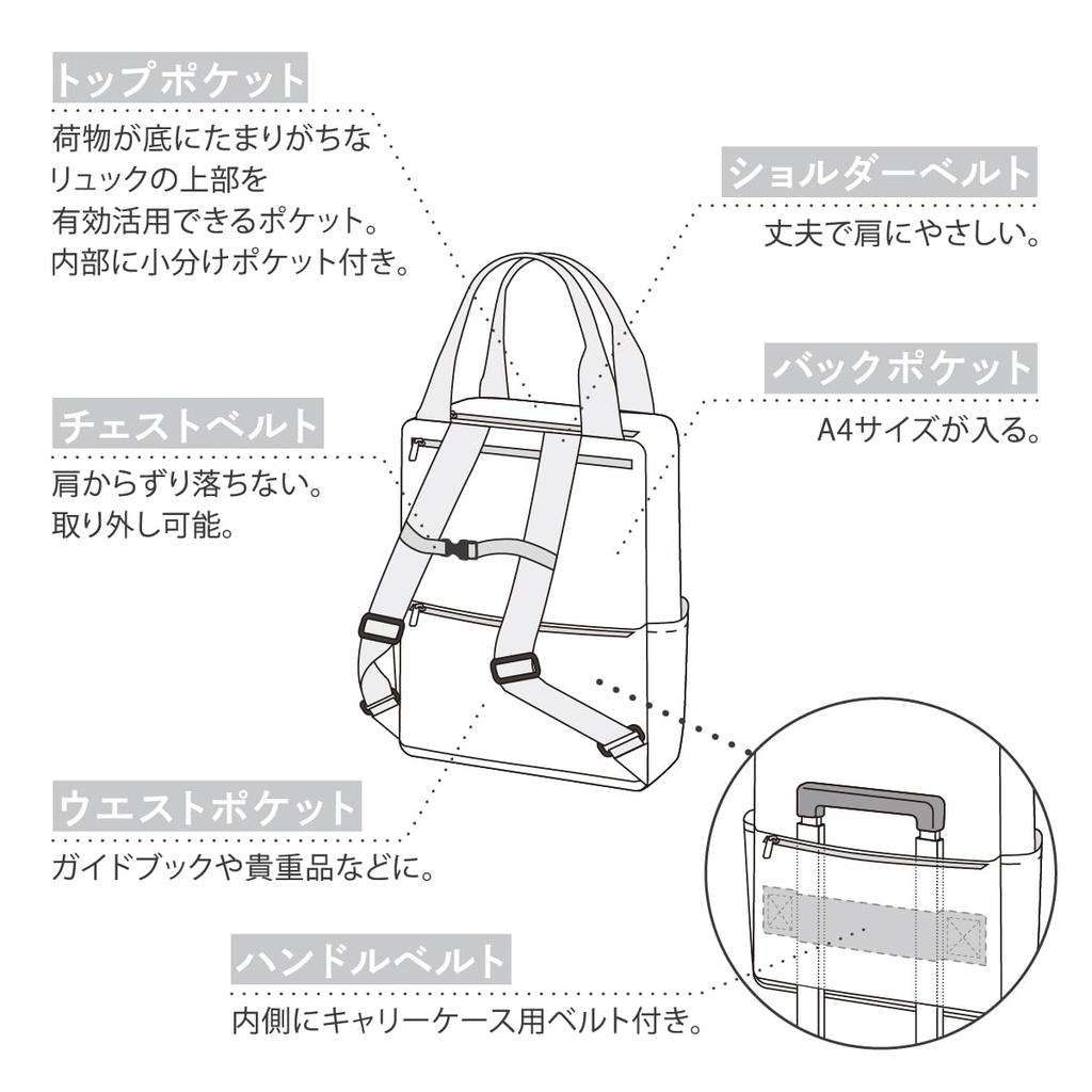 Ash Concept Tote Rucksack, Standard, Perfekt für Pendeln, Schule, Business und Reisen, 2-Wege-Design (Schwarz, Standard)