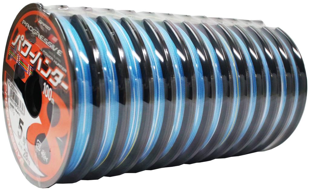 X-Braid Power Hunter Progressive X8 Multicolore 100m 18-fili [1800m] Misura 14