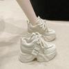 Dames Dad Shoes Stijl Hoge Top Dikke Zool Verhogend 9cm Hoogte Casual Mesh Casual Sportschoenen voor Dames