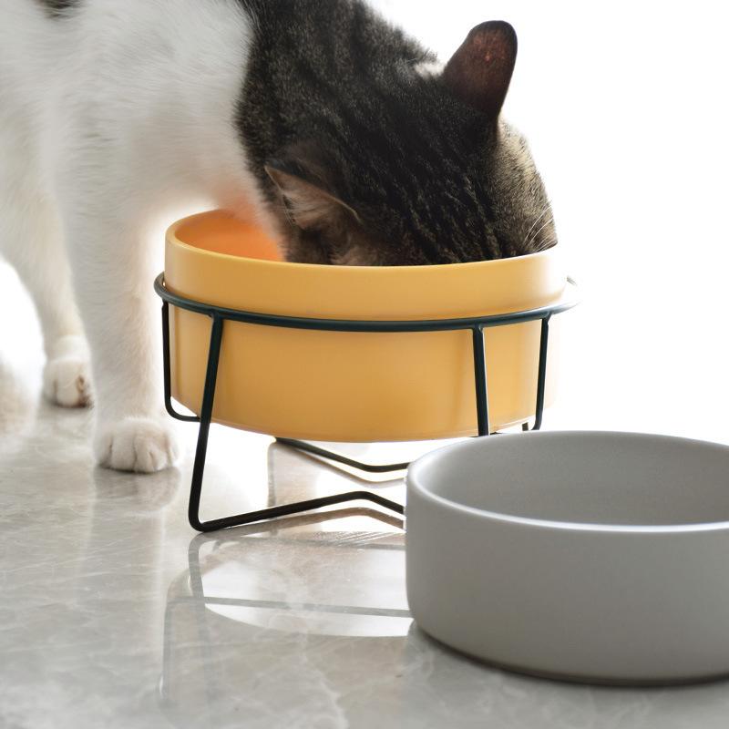 Double Cat Food Water Bowls with Stand Ceramic Pet Feeding Accessories Cats Small Dogs Eat Drink Supplies Puppy Feeder Bowl