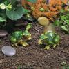 Miniature Landscape Frog Figurine Resin Ornament Garden Bonsai Succulent Decor
