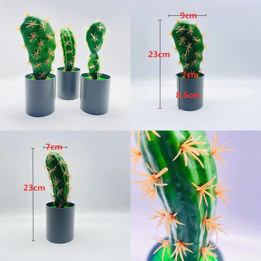 Cactus With Plastic Flowers For Indoor Home And Office Decor