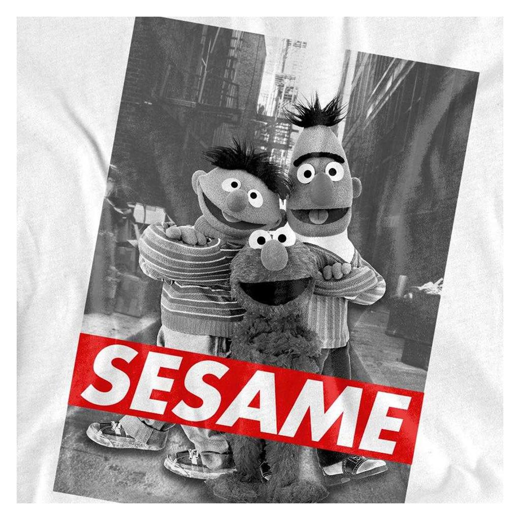 Sesame Street Unisex Adult Sesame Long-Sleeved T-Shirt