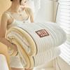 Thickened Three-Layer Baby Milk Fleece Quilted Blanket - Warm, Solid Color, Skin-Friendly Nap Blanket.