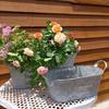 Blumentopf Pflanzgefäß Eimer Metallkübel Blumentöpfe Hochbeete Bauernhaus Pflanzkübel Gartenpflanzer