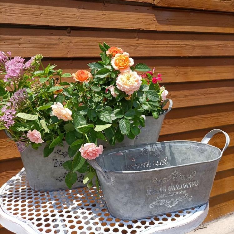 Blumentopf Pflanzgefäß Eimer Metallkübel Blumentöpfe Hochbeete Bauernhaus Pflanzkübel Gartenpflanzer