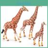 Animal de la faune Animale de la forêt Girafe Modèle PVC Figure Éducative Pour Enfants et Collectionneurs