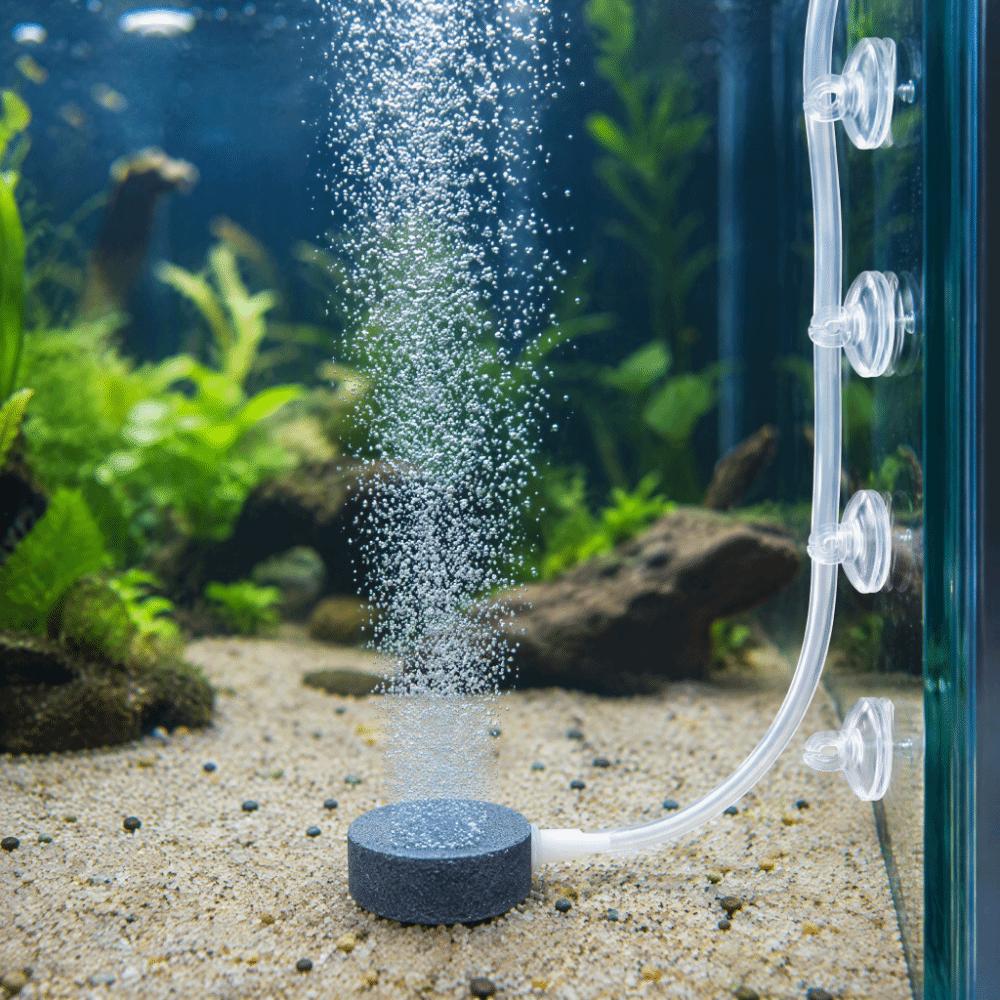 1 Set of 6 Suction Cup Holders Aquarium Aeration Stone Aquarium Oxygen Supply Set Aquarium Use