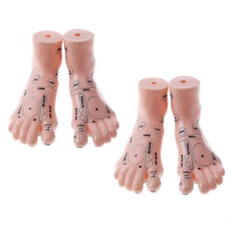 2 pair 19cm Massage Acupuncture Feet Model Reflexology Acupoint  Kit