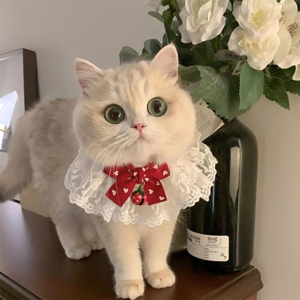 

Мереживний бантик Перламутровий нашийник Кішка Собака Шийна хустка Домашні тварини Кішки Кошеня Собака Цуценя Стринг Нагрудник Намисто Краватка Шийний ремінь Шарф Аксесуари Strawberry Bell-M