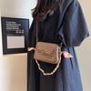 Autumn and Winter New Women's Bags Fashionable Versatile Chain Small Square Bag Single Shoulder Oblique Span Women's Bag