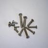M3 Self-Tapping Screws Assortment, Round Head, Flat Tail, 304 Stainless Steel, PB Plain/Black Zinc Finish