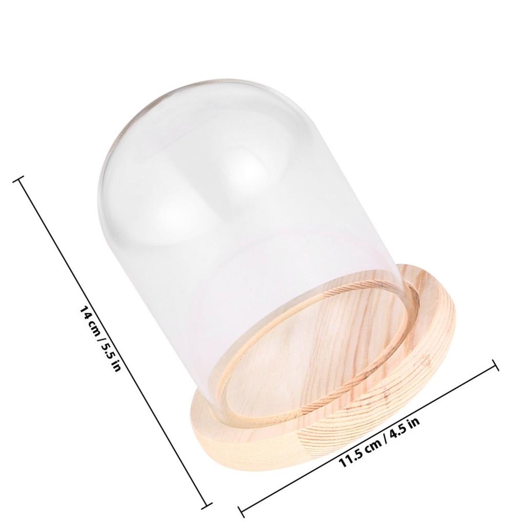 Micro Landscape Flower Glass Cover Eternal Transparent Dustproof Glass Dome 9x15cm Wooden Base DIY Valentine Gift