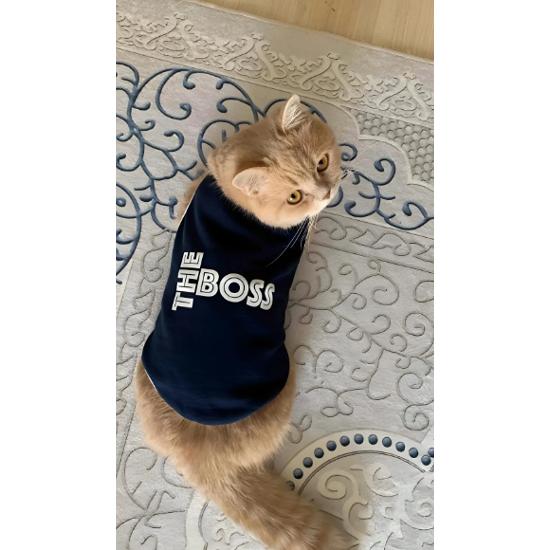 

Новая сезонная одежда Polar для кошек и собак Lavicert The Boss, размер M