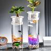 Cylinder Hydroponic Planter Vase Plastic Hydroponic Fish Tank Fish Tank Vase  for Fish Green Plant