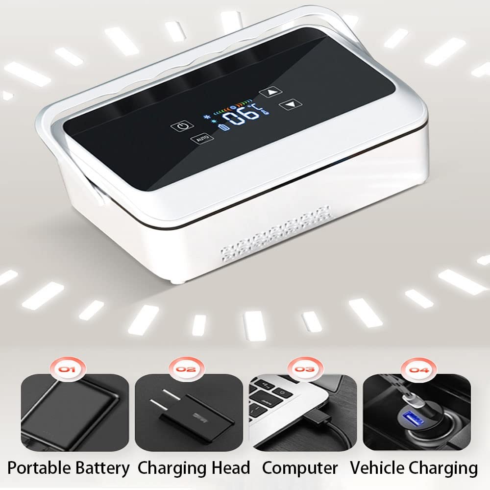 Insulated Temperature Control Cooler Case, Smart 2-8°C Constant Cooling Portable Travel Storage Box with Intelligent Refrigeration for Personal Items