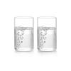 Tazza per acqua Samadoyo di alta qualità in vetro borosilicato alto, tazza per acqua in vetro trasparente, tazza per latte, tazza di cristallo 300ml