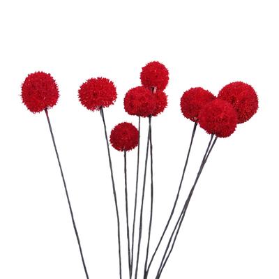 Kwiaty Billy Ball Suszone Kwiaty Sztuczne Suszone Kwiaty Dekoracja Domu Ogrodu