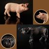 Realistic Animal Model Simulated Poultry Figurines Miniatures Mini Farm Dog Duck Cock Models Ornaments For Children Kids Gifts