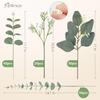 120 Pcs 4 Kinds Mixed Eucalyptus Greenery Stems, Baby Breath Flowers Artificial Bulk and Greenery Stems for DIY Bouquets Wedding Home Floral Decor