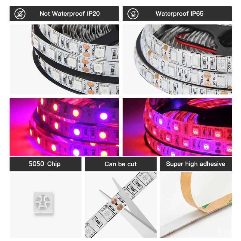 5M Led Grow Plant Lights Strip Full Spectrum Indoor Seeds Greenhouse Lighting Phyto Lamp For Plants Hydroponics Growing System