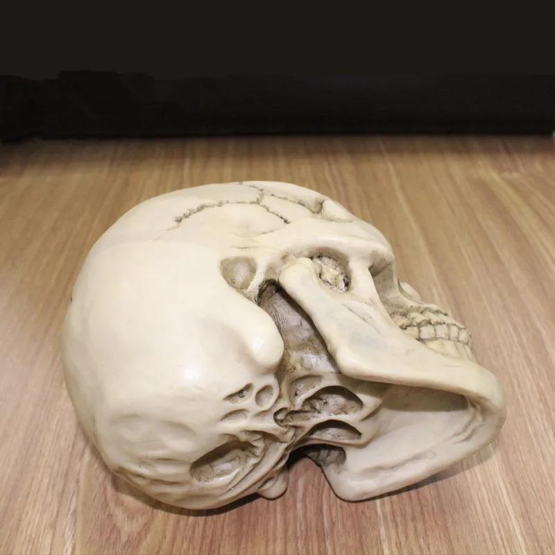 1:1 pryskyřičná socha lebky, vzdělávací a malířská, specializovaná lékařská modelová sada, realistický bytový dekorační 3D model lebky 19*15*14 cm
