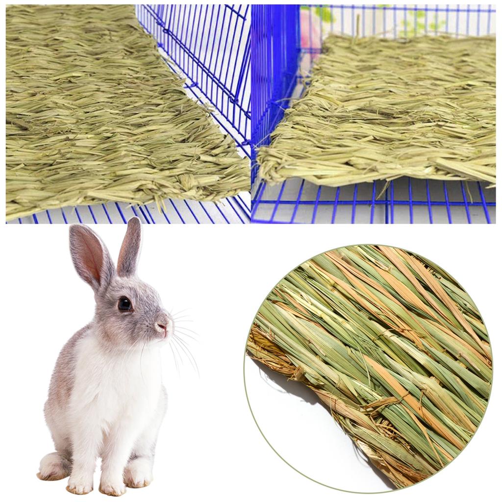 hamster hay bedding