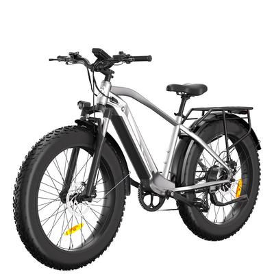 Bodywel D6 Elektrische Mountainbike met 250W Motor en 48V15AH Batterij