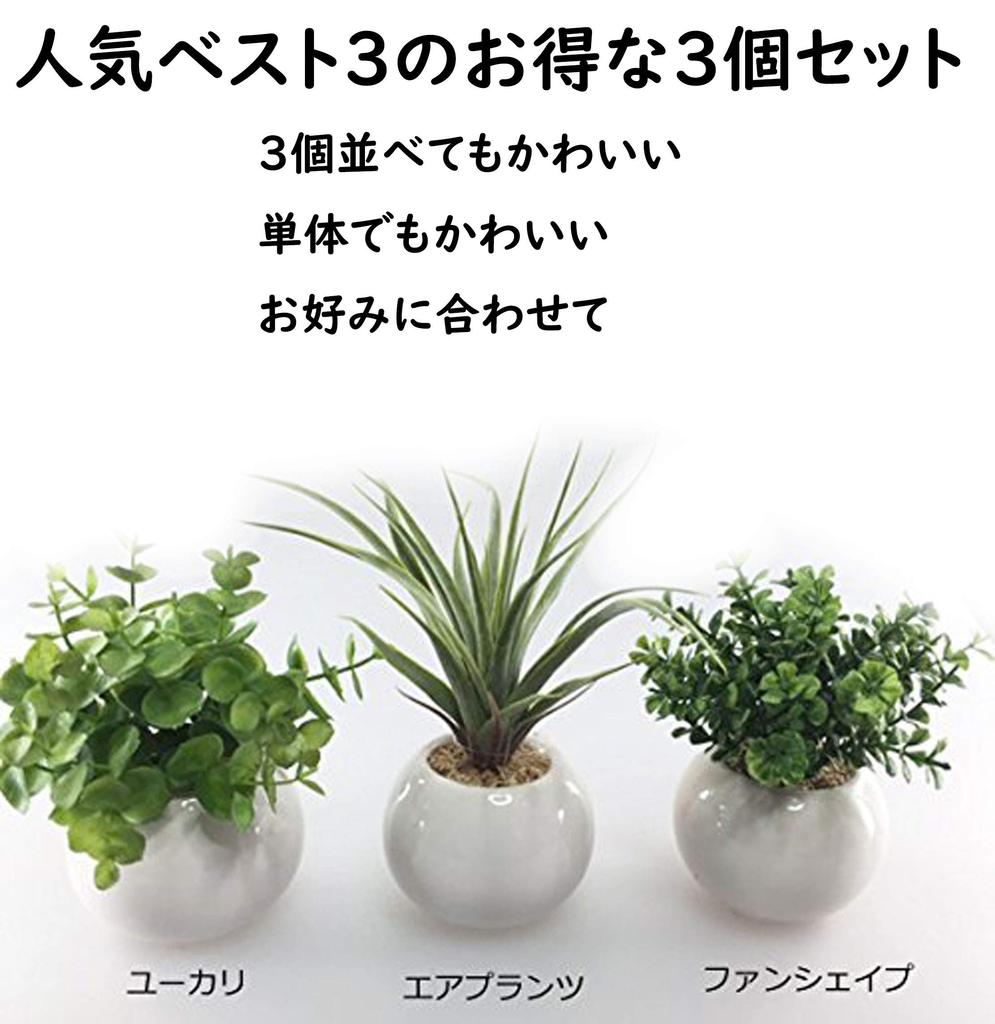 Miniature Interior Greenery - Artificial Plants (Eucalyptus, Air Plants, and Fan-Shaped Greenery) - 3-Piece Set