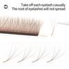XIUSUZAKI Brown W Shaped YY 3D 4D 5D Lashes Premade Fans Double Tips 3D W Eyelashes Extensions Individual 2D YY False Lashes