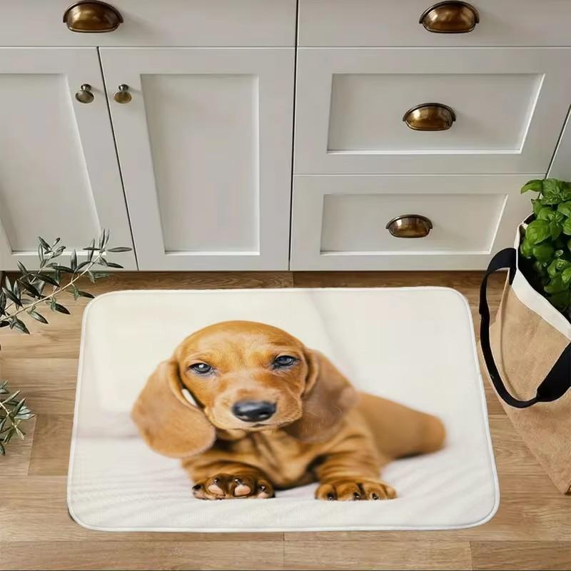 Mini Dachshund Dog Door Mat Decor Animal Pattern Print Rug Living Room Bedroom Entrance Doormat Kitchen Front Non-slip Carpet